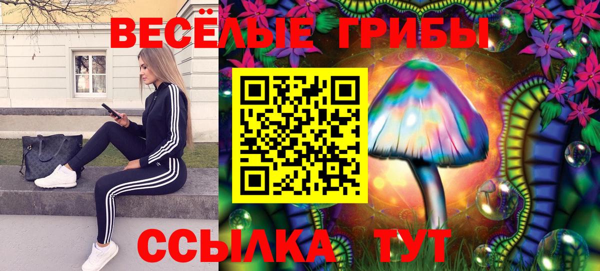 Анапа  Галлюциногенные грибы MAGIC MUSHROOMS  Вход с VPN 