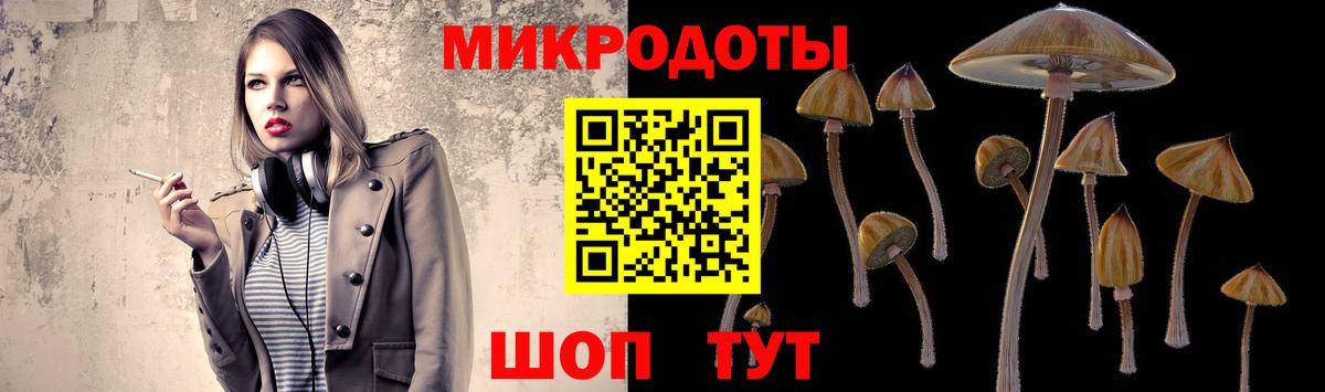 Псилоцибиновые грибы Cubensis Анапа
